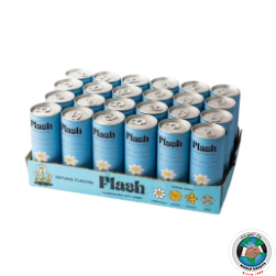 FLASH CARBONATED SOFT DRINK 250ML 24 PCS