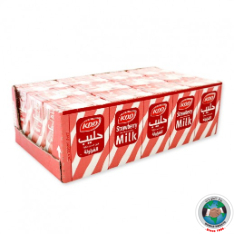 KDD STRAWBERRY 24 PCS 250ML