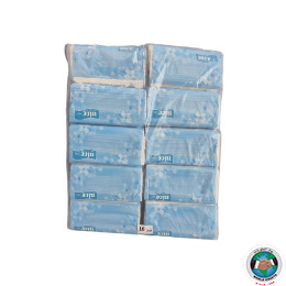 NICE SOFT FACIAL TISSUES 600 SHEETS X 10