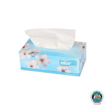 NICE TISSUES 100 PAPER X 10