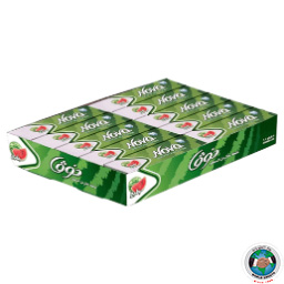 NOVA SUGARFREE GUM WATERMELON 230GM