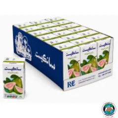 SUNKIST JUICE GUAVA 24 PCS 250 ML